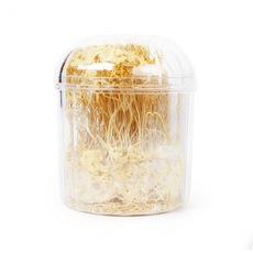 케이푸드_삼in삶 동충하초, 2개