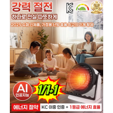 1/1+1 4-in-1 절전 무광 난방기 소형 팬히터 열풍기 온풍기 급속 온도 상승/에너지 절약과 전기 절약, (1개)  GS