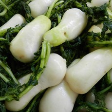 [국내산]김장 절임 알타리무 손질 세척 알타리, 1박스, 5kg