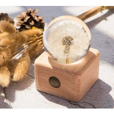 精緻蒲公英球體木座擺飾, 蒲公英小夜燈，永生花