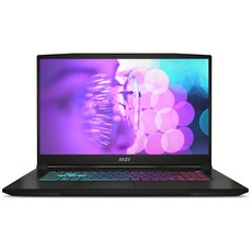 MSI 2025 스워드 GF76 17.3 코어i7 인텔 13세대 지포스 RTX 3050, 블랙, 512GB, 8GB, WIN11 Home, Sword GF76 B13UDXK (1465)