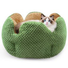 Spring Blossoms-플러시 선인장 반려동물 침대 --- 편안한 도넛형 고양이/강아지 침대로 베개가 포함된 따뜻한 강아지 집입니다., 1개, 초록색