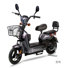골든이글 48V 전기자전거 이중배터리 장거리 주행 고성능 모터, 해외직구(충전기 미포함)
