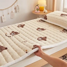다다미매트 따뜻한 벨벳 매트리스 토퍼 두꺼운 침대 커버 얇은 다다미 바닥 매트 싱글 더블 시트 겨울, 07 brown_02 120x200cm-1pc