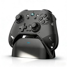 Switch P4 컨트롤러 무선 게임패드 충전독 포함 블랙