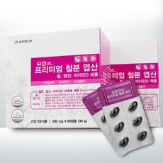 유한메디카 프리미엄 철분 엽산, 60정, 1개