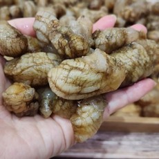 통통 오만둥이 1kg