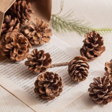 [데코봉봉] 솔방울 20개 (중)-빈티지 홈카페 크리스마스 오브제 오너먼트 장식 촬영소품 숲놀이 자연물, 1개