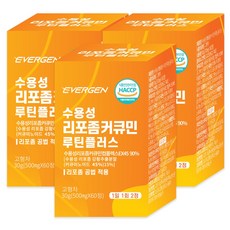 에버젠 수용성 리포좀 커큐민 루틴플러스, 3개, 60정 3개, 60정