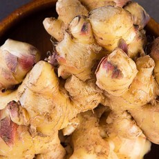 국내산 서산 황토밭 햇 생강 흙생강, 1박스, 서산 황토밭 생강 1kg