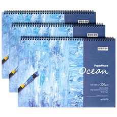 PaperPhant 프리미엄 스케치북 머메이드 커버 화이트지(220g) 3권 세트, Ocean 8절 40페이지(총 120페이지)