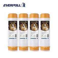 EVERPOLL EVB-M100A 道爾樹脂濾芯 10吋標準型 大大淨水, 1個
