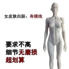 인체 피규어 근육 뼈 아나토미 전신상 모형 드로잉 모델, E. 여성 흰색 피부