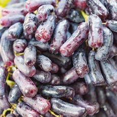 고당도 꿀맛 블랙사파이어 포도 가지포도, 1세트, 2kg