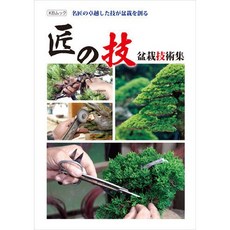 【小樹安每】近代出版社 盆栽技術集：匠の技，圖文並茂教學，盆栽製作與養護知識