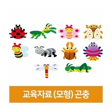 펠트 교육자료 곤충10종