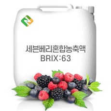 세븐베리혼합농축액 63Brix 200g 샘플, 1개