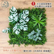 大好屋 仿真綠植牆 仿真植栽 室內造景, 1個, 葉材C款+【尤加利】綠植牆單片50x50