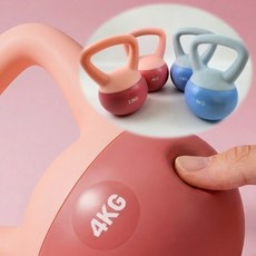 부상방지 소프트 케틀벨 홈트 스쿼트 헬스 운동기구, 2.5kg핑크