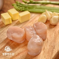 영롱한수산 키조개 (소) 생물 통 관자 400g, 1개, 생물관자 400g