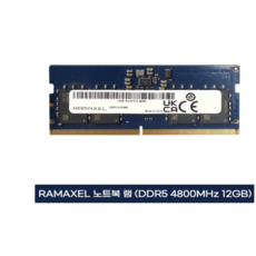 RAMAXEL DDR5 12GB 4800MHz 램 (벌크) 노트북업그레이드/게이밍메모리/DDR5/벌크제품으로 합리적인가격, 1개