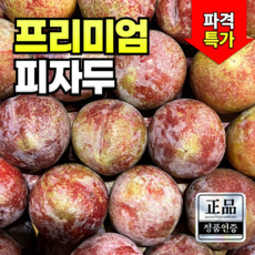 한정판매 산지직송 맛보장 자두 김천 피자두, 1개, 특품 2kg