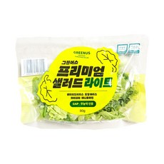 그린어스샐러드 무농약 친환경 유러피안 샐러드 간편 파우치, 10개, 80g