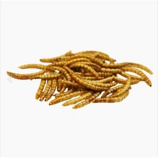 Pet Village小動物零食 麵包蟲蠶蛹點心, 1個, 黃金蛋白黃粉蟲 35g