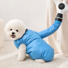 생활구역 강아지 드라이 수트 목욕 펫 드라이기 강아지 드라이 자켓 드라이룸 애견 미용용품 애완견 고양이 털말리기, M, 1개, ONE