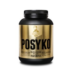 탄수화물보충제 머슬킹플러스 초코맛 2.4kg, 1개