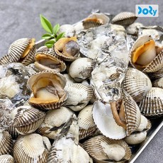 맛도리 [맛도리] 당일채취 국내산 제철 새꼬막 3kg (300미 내외), 1개