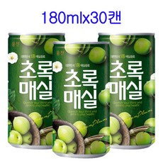 웅진 초록매실 180ml, 20개