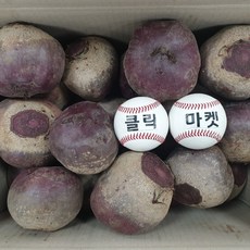 클릭마켓 제주비트 빨간무 레드비트 5kg 10kg ABC쥬스 비트즙 비트차 비트가루 용, 10kg x 1개, 1개