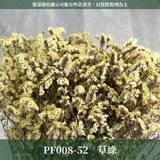 CANLONGER FLOWER 水晶花 乾燥花束, 52草綠,原裝(超取會修剪適合裝箱尺寸), 1個
