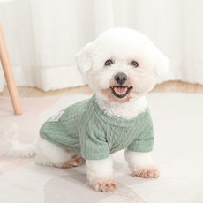 투니스 강아지 루즈핏 라운드넥 단색 긴소매 니트, 그린, 1개