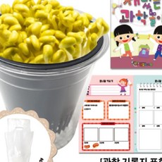 콩나물 키우기 관찰기록지포함 어린이집만들기세트