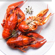 엘에스푸드 캐나다 A급 자연산 랍스터 바닷가재 급냉 자숙 랍스터 1마리(450g), 자숙 랍스터 1마리, 1개