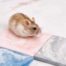 린라레 햄스터 여름 도자기 쿨매트 냉각 패드 쿨 침대, 블루
