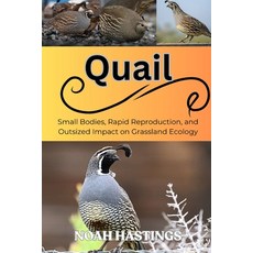 (영문도서)Quail: Small Bodies Rapid Reproduction and Outsized Impact on Grassland Ecology Paperback, Independently Published, English, 9798196724251 Independently Published, English, 9798196724251