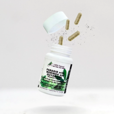 CHEF AYB'S PARAGIS MORINGA AND GUYABANO MINI AYB 셰프의 파라지스 모링가와 가야바노 미니, 1개, 60정