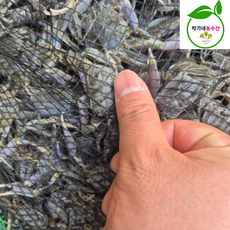 순천만 별량 생물 칠게, 1개, 순천만 별량 칠게[생물]500g(50미내외)