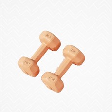 홈트레이닝기구 2kg 육각 덤벨 세트 (실내운동), 1개