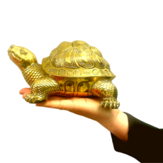 황금거북이 풍수 무병 장수 집들이 인테리어, 1개, 특대형