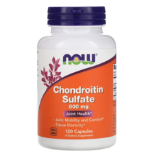 Now Foods Chondroitin sulfate 콘드로이틴 황산염 600mg 120개입, 120정, 1개