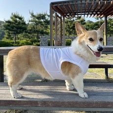 도기스타 웰시코기옷 시원한 여름 쿨링메시 크롭탑, 1개, 화이트