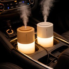 미니 듀얼 휴대 차량용 가습기 필터(2p) 세트, 웜화이트+필터 1세트(2p), DQ-110