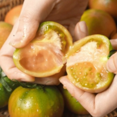 [주중할인]제철단독특가 짭짤이 농부정성 갓수확 대저토마토, 1박스, 1kg(혼합과)