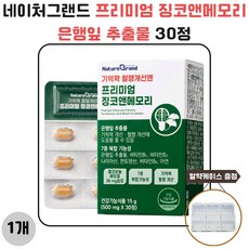 네이처그랜드 프리미엄 징코앤메모리 은행잎 추출물 30정 2개 사은품 증정
