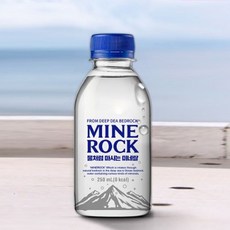 VDG 미네락 워터300 250mlx60병 cwj276ib, 1ml, 1개