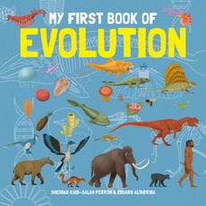 (영문도서) My First Book of Evolution Hardcover, Button Books, English, 9781787081307